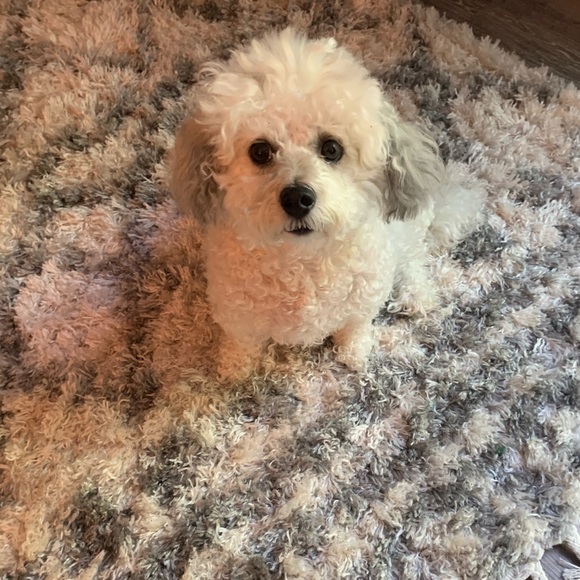 Like this! Live jewelry show notification! - Picture 3 of 12